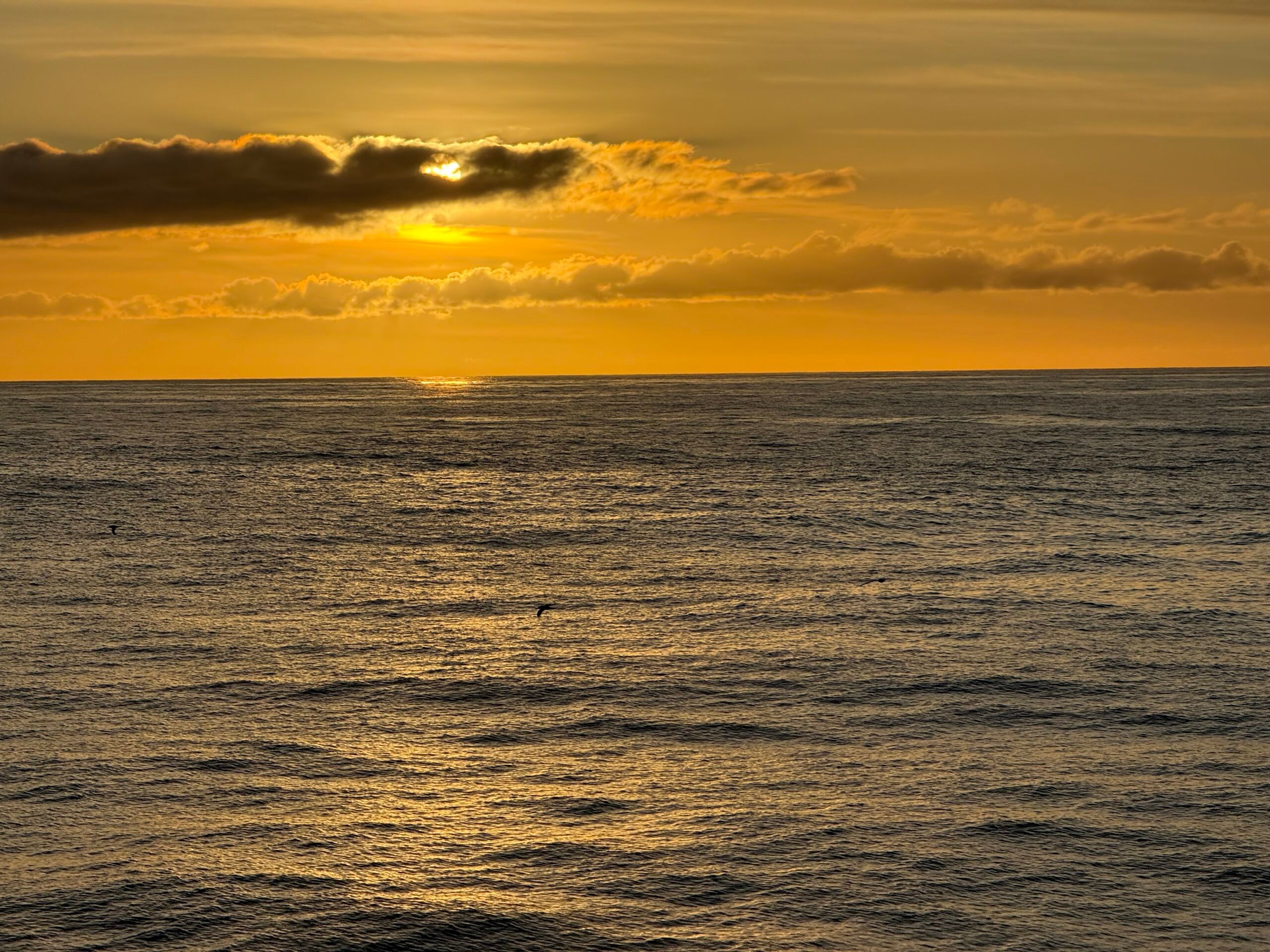 Initiating a Southward Velocity Vector